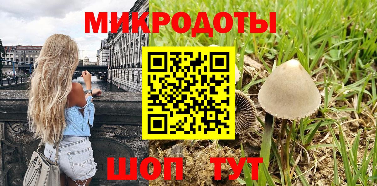Псилоцибиновые грибы MAGIC MUSHROOMS  Вход с VPN  Луга 