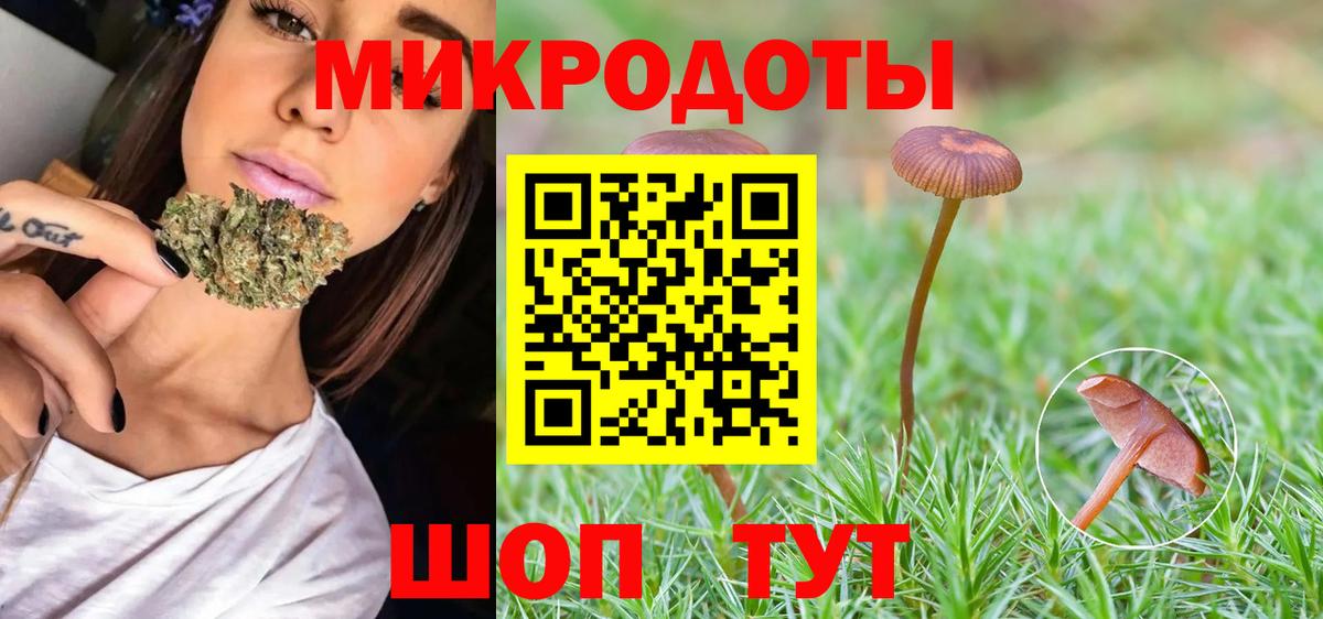 Псилоцибиновые грибы мицелий Луга