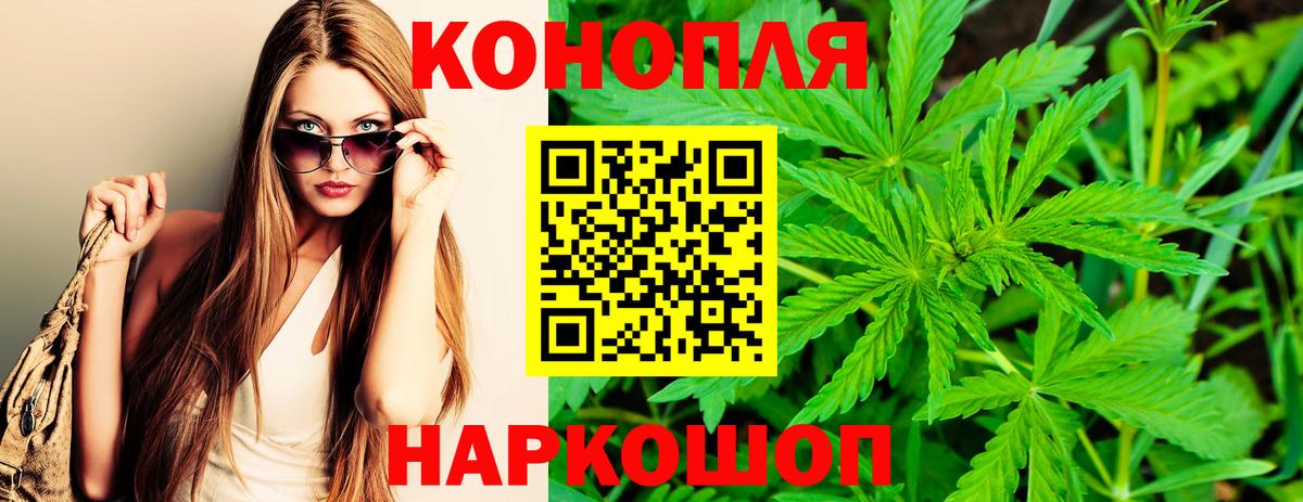 Канабис гибрид  Конопля MAZAR  Бошки марихуана конопля  Луга  Вход с VPN 